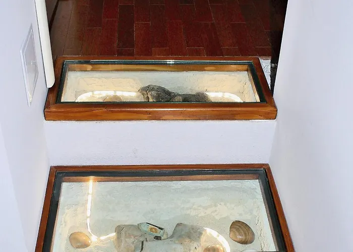 多米纳别墅酒店